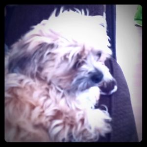 ♥️ Pillowcases♥️ 2 for $20